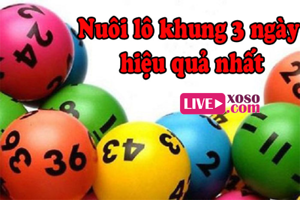 tổng hợp nuôi lô khung 3 ngày hiệu quả, chuẩn xác nhất